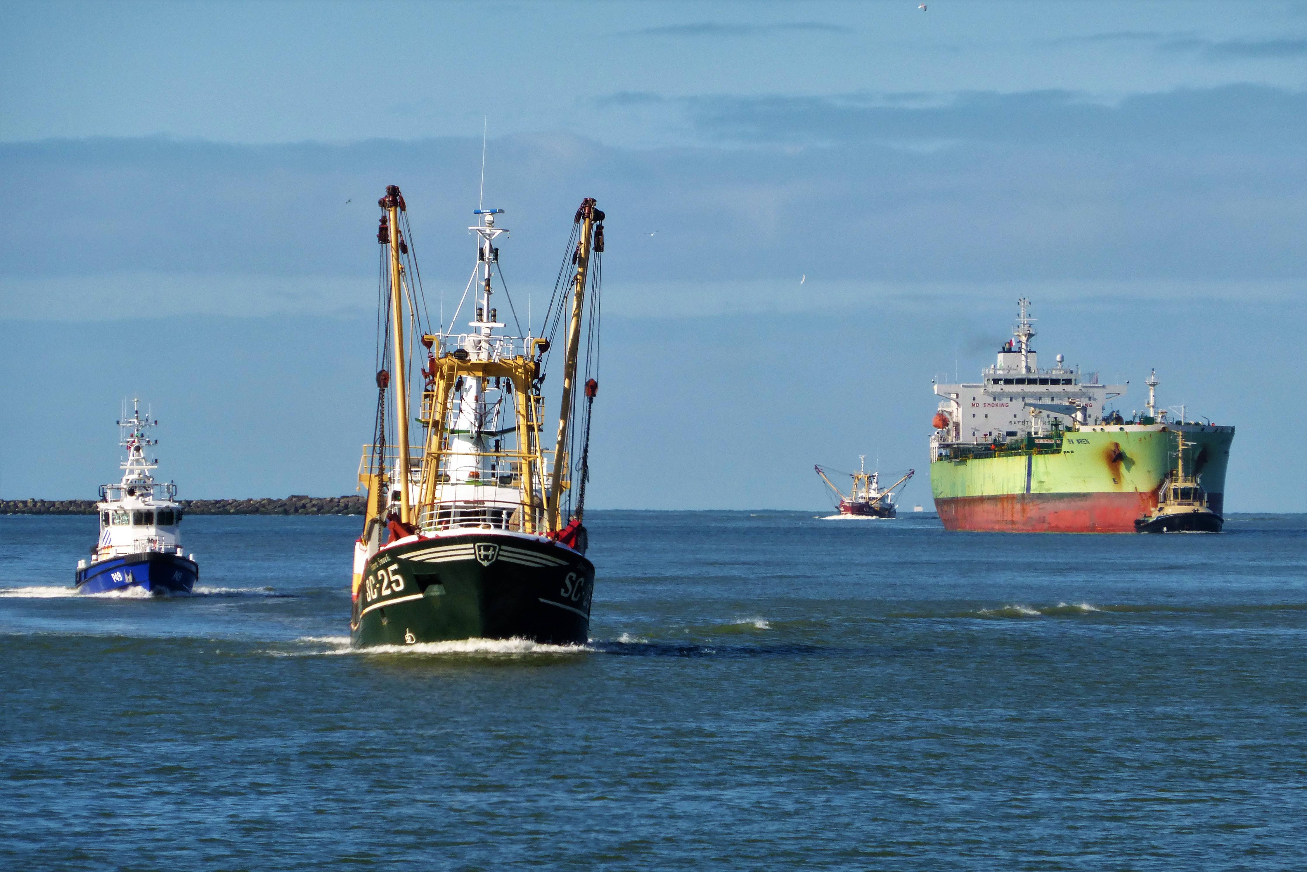 Pieren IJmuiden   05-03-21 